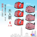 大人3D布口罩 國旗(2款入) /台灣系列 (6款入)_3