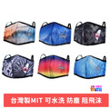大人3D布口罩 國旗(2款入) /台灣系列 (6款入)_4