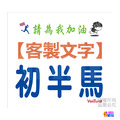▶客製◀【紙】【布】初馬系 初半馬 初馬 初超半馬 初超馬 第N馬 馬拉松 生日馬 號碼布 21x19cm_11