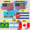 萬國旗【美洲區】阿根廷 加拿大 巴西 古巴 特多龍 美國(刺繡) 國旗