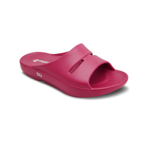 土豆二代／紫紅