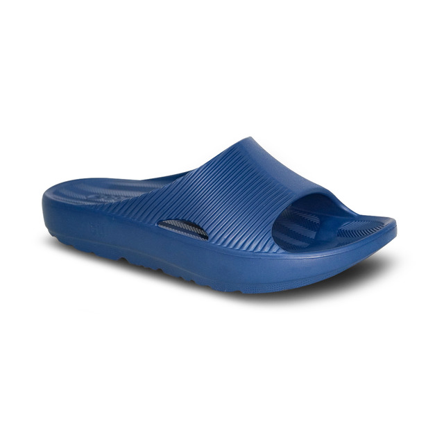 土豆二代鸚鵡螺／藍