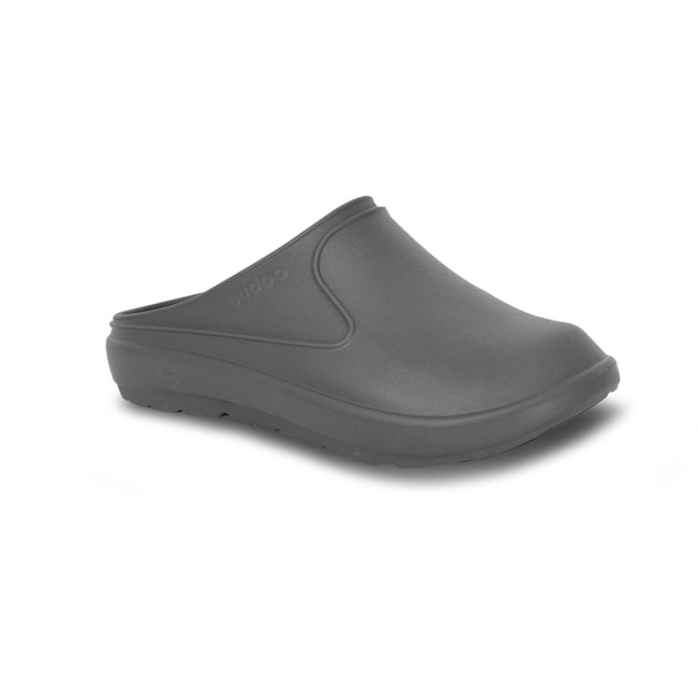 土豆鸚鵡螺三代／灰