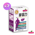 雙效升級版膠固力膠囊x7盒
