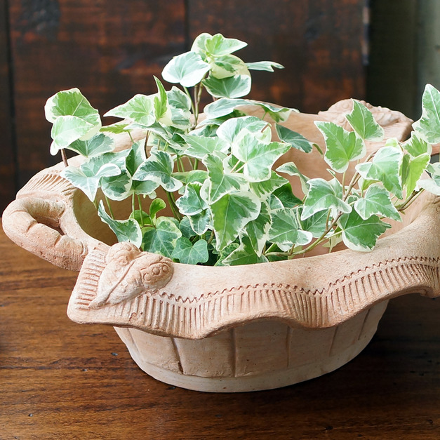 義大利 雙耳瓢蟲盆套