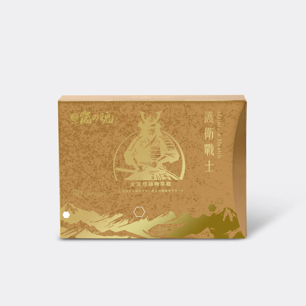宬的魂 護衛戰士