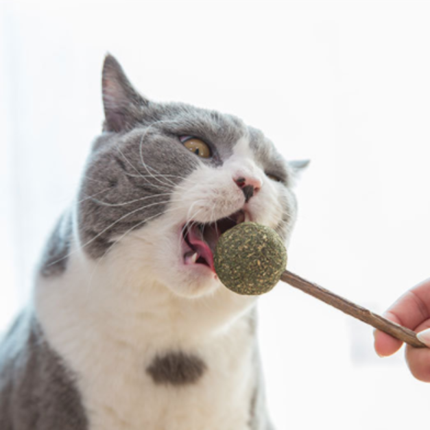 貓薄荷棒棒糖(台灣製)