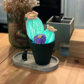 【DIY手作】仙人掌小夜燈_3