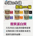 MyCat 我的貓 170g 副食罐 貓罐頭 機能貓罐_1
