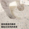 貓砂天使 天使貓砂2.5公斤木薯砂 貓砂 豆腐砂 玉米砂 不黏底 無粉塵_3