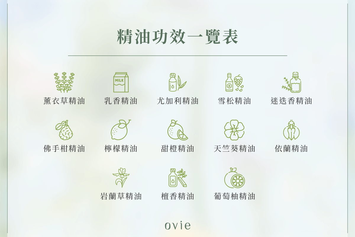 精油功效一覽表 
  
  乳香精油功效 尤加利精油功效 雪松精油功效 迷迭香精油功效 佛手柑精油功效 檸檬精油功效 甜橙精油功效 天竺葵精油功效 依蘭精油功效 岩蘭草精油功效 檀香精油功效 葡萄柚精油功效