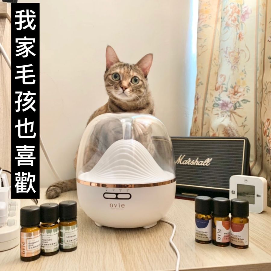 我的寵物貓咪也喜歡Ovie奈米精油平衡機擴香精油味道