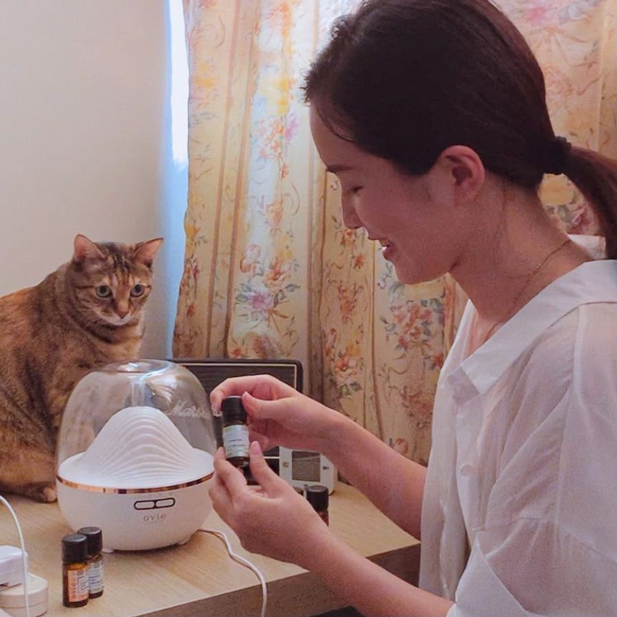 寵物可以使用擴香，水氧機不要讓貓咪聞柑橘類