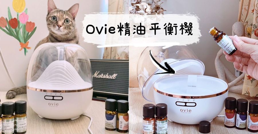 【精油香氛生活必備推薦】小資族最愛的精油水氧機推薦