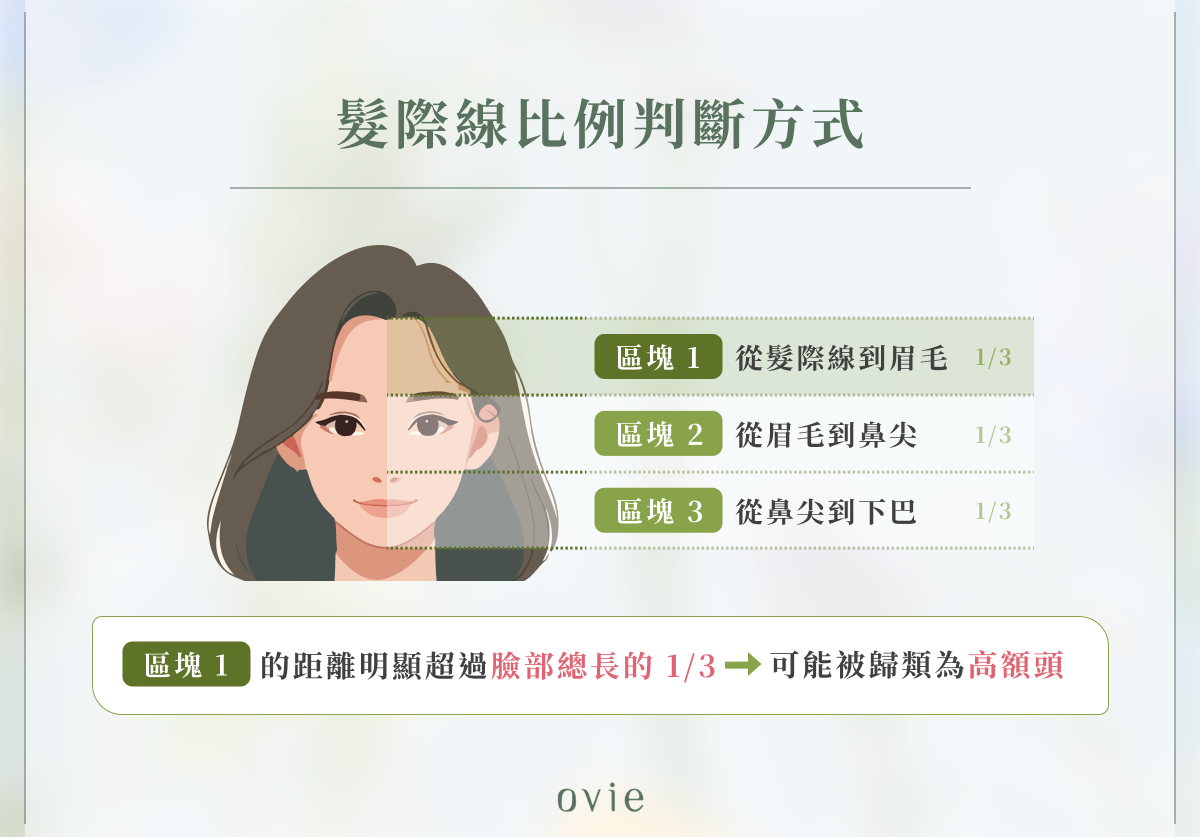 髮際線比例判斷方式