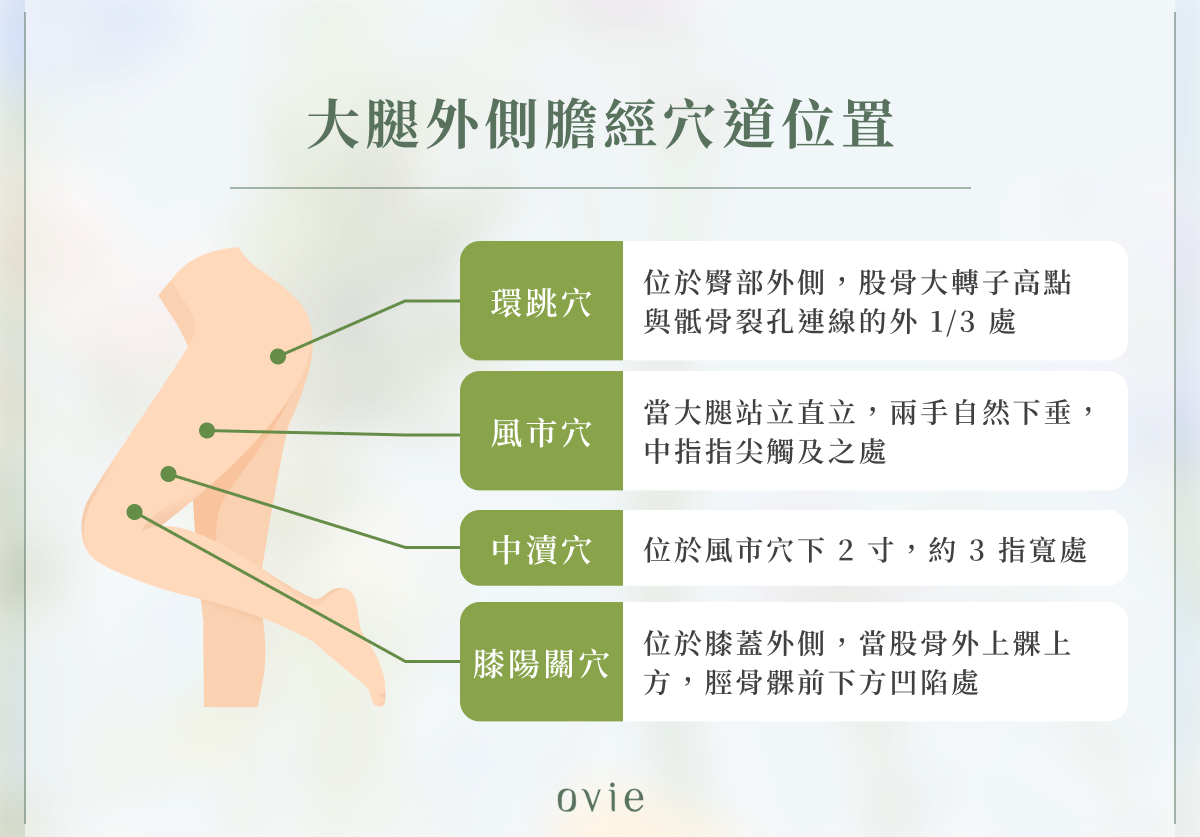 大腿外側膽經穴道位置