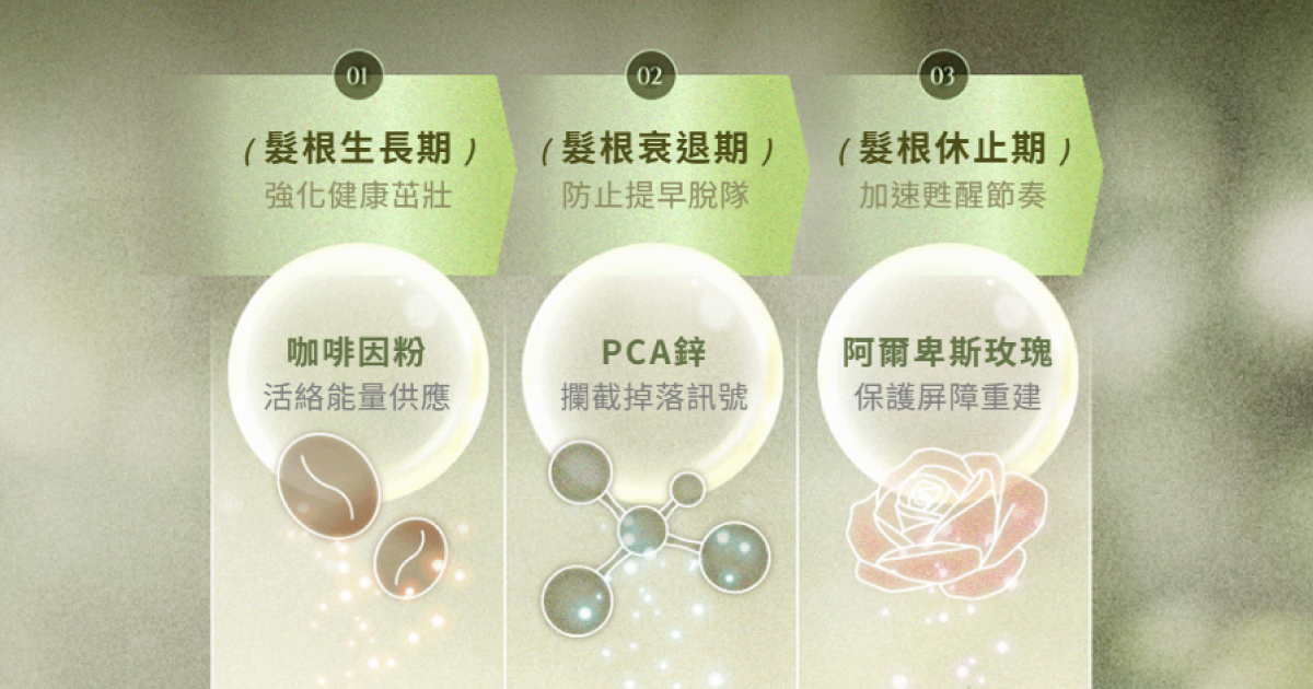 壓力大瘋狂掉髮？養髮洗髮精推薦指南，1個月幫你洗出濃密感