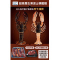 《高壓波士頓龍蝦》450-500g/尾_4