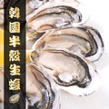 《韓國半殼生蠔》10顆_1