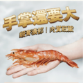 《阿根廷天使紅蝦》2公斤/盒_1