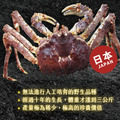 《日本生凍鱈場蟹》1kg±5%/肩_2
