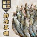 《活凍草蝦》14-16尾(300g±10%)_1