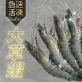 《大草蝦/虎斑蝦》10尾(300g±10%)_1
