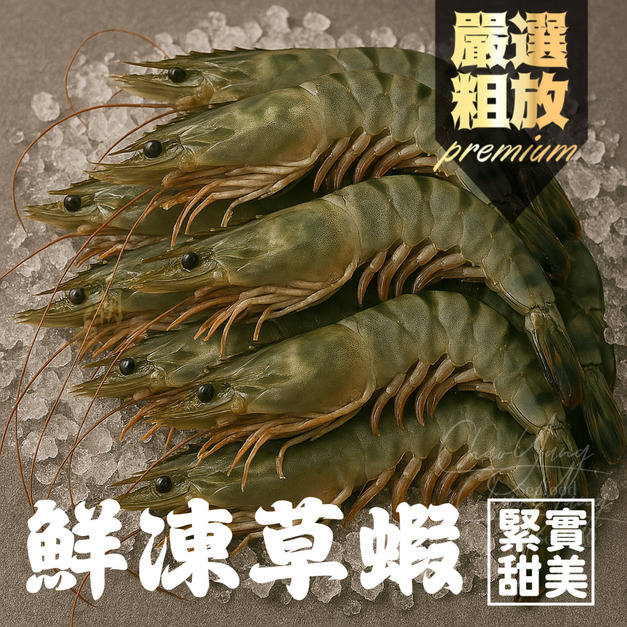 《活凍草蝦》14-16尾(300g±10%)