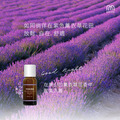真正薰衣草精油 20ML_4