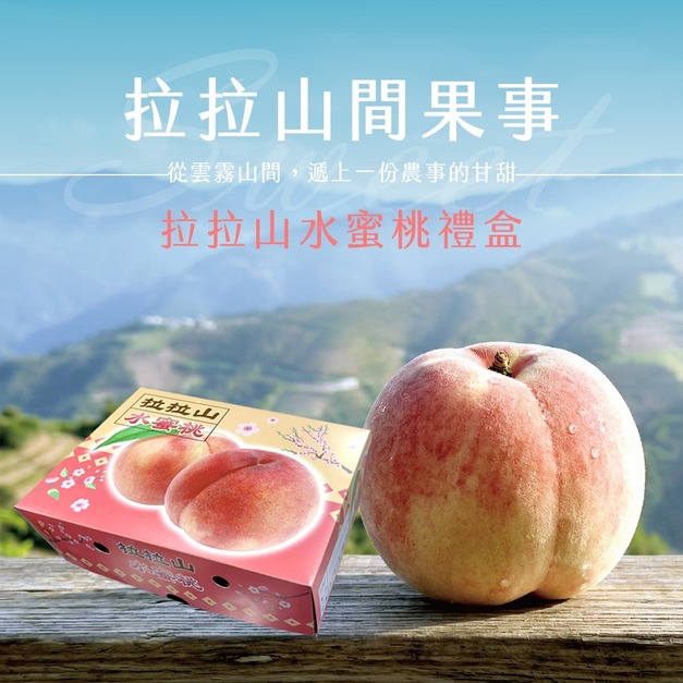 【拉拉山間果事】拉拉山水蜜桃禮盒(淨重1.35kg/盒_媽媽桃五月桃)