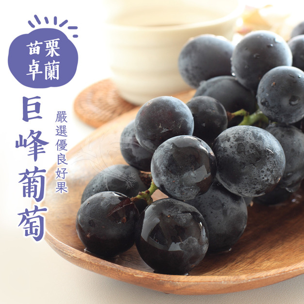 苗栗卓蘭優等巨峰葡萄5斤/盒(8-10串/盒)