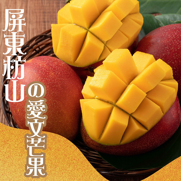 屏東枋山山頂上的愛文芒果(5斤/10斤)