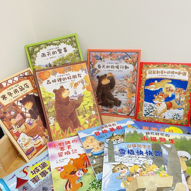 爛主婦專屬團購組合：山貓醫生(全4冊)+大熊與小睡鼠(全4冊)+飛鼠郵差和迷路的馴鹿+贈[小野豬的春天冒險記]+[城堡軍事家]