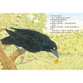 《阿白和烏鴉》_3