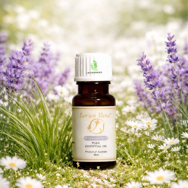 靈魂之星-潔白無瑕芳療級有機認證複方精油-10ml