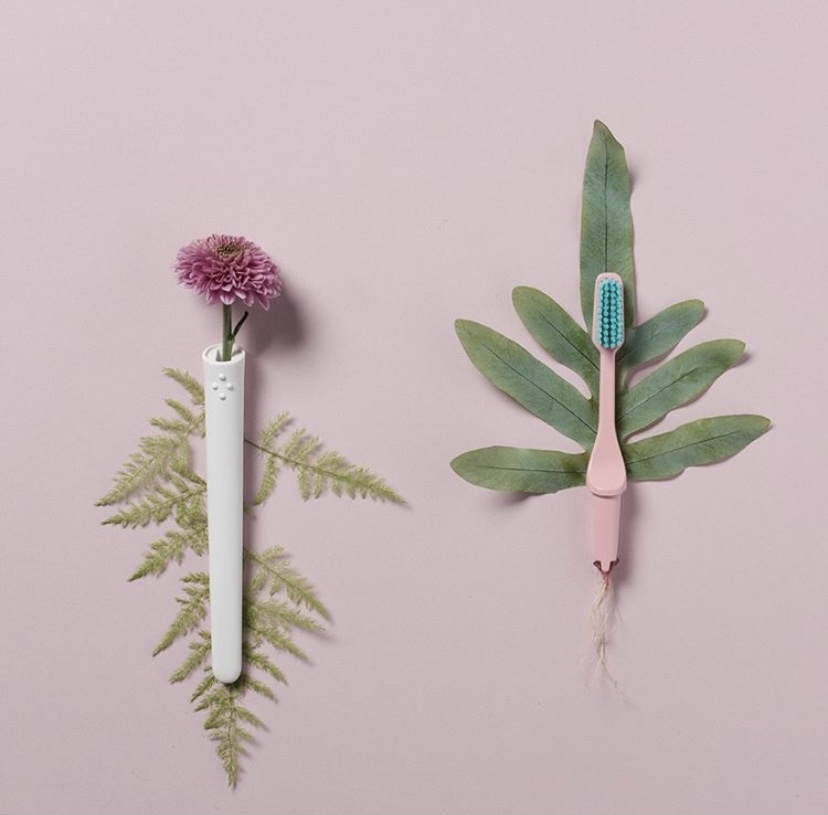 TIO 德國植物系環保牙刷-柔軟毛