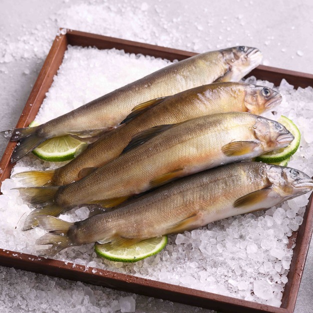 宜蘭純淨養殖公香魚