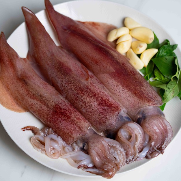 東北角船凍手釣透抽