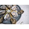 澳洲塔斯馬尼亞生蠔