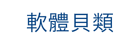 軟體貝類
