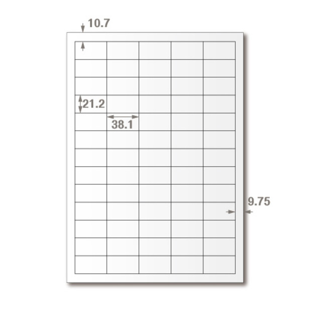 【龍德】三用電腦標籤貼紙 65格 LD-806 1000張(箱)