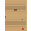 【龍德】三用電腦標籤貼紙 33格 LD-8118 105張(盒)_1