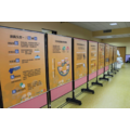 直向式創新雙面展示板(2呎×3呎)雙面布款 SW-609A_2