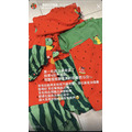 去年熱銷冠軍款｜夏日可愛西瓜包屁衣_7