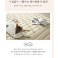 韓國🇰🇷 正韓製造｜100%莫代爾抗菌玉米纖維床墊｜五色可選_11