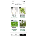 OLIVE BETTER｜Make Latte 即沖拿鐵系列 10入盒裝｜2款口味_1