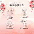 【Teavoya嘉柏茶業】草莓風味紅茶包 3g x15包_6