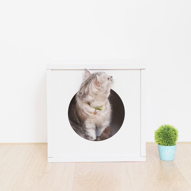 巧拼 躲貓貓櫃(胖胖版) | 清新白