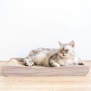 懶懶貓床 | 燕麥色 (贈送純天然木天蓼)