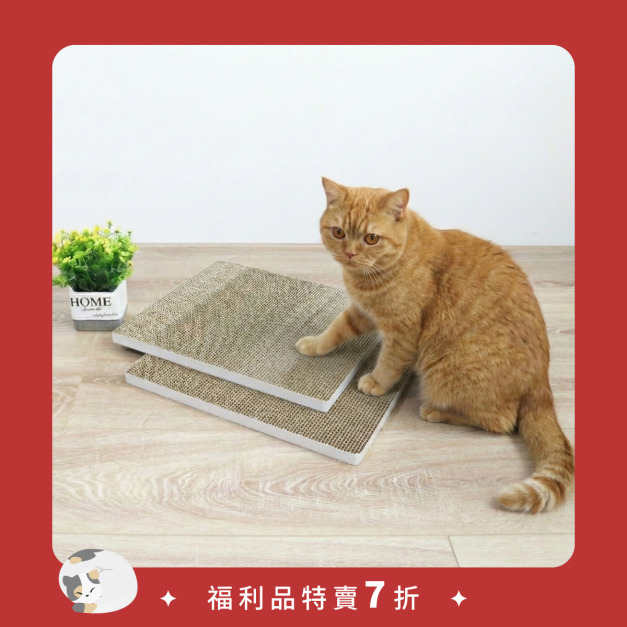 ✩福利品特賣✩ UP & DOWN！落砂墊 (環保替換包2片) | 清新白